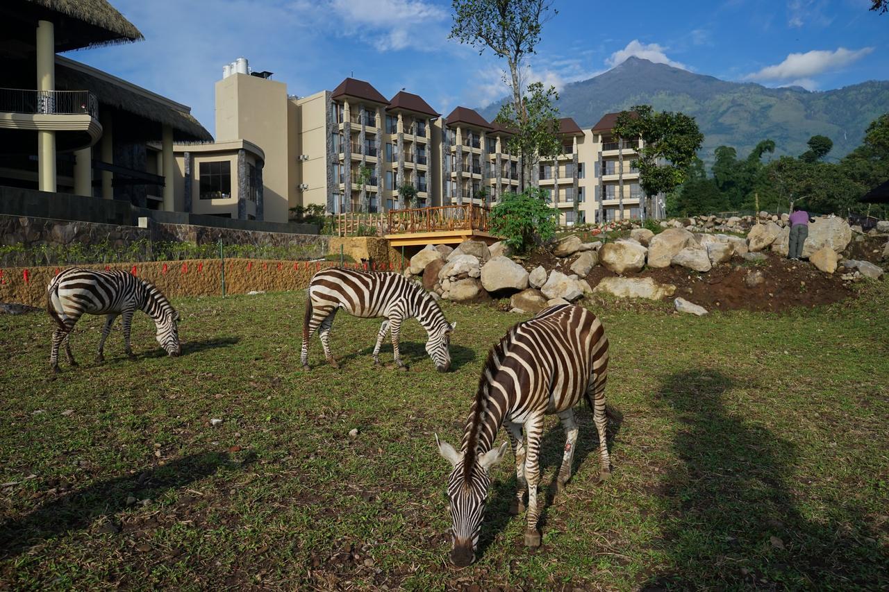 Baobab Safari Resort Prigen Exterior photo